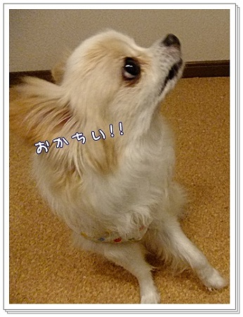 おかしい