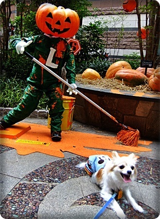 キャナルシティハロウィン