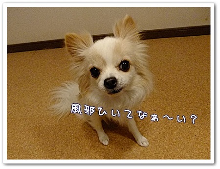 風邪