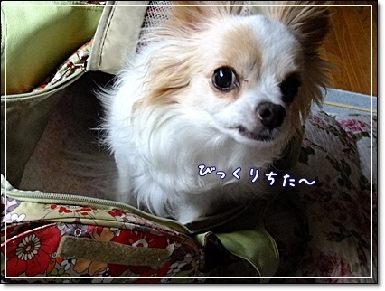 ビックリね~