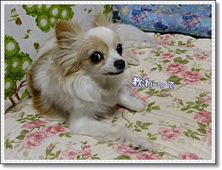 し~らない