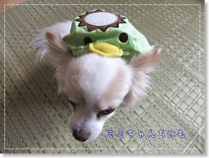 お願い