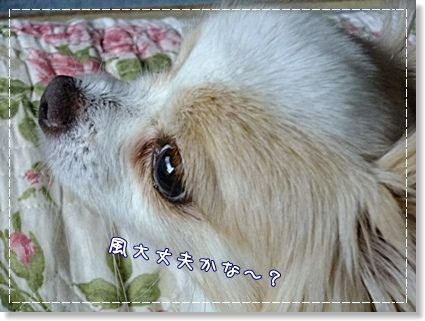 台風
