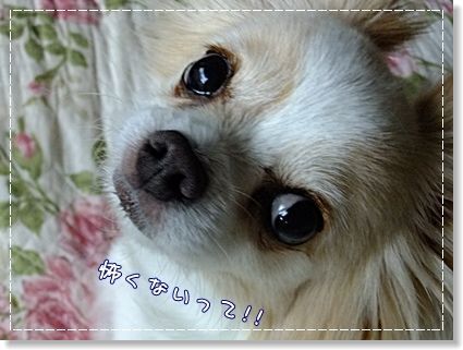 台風