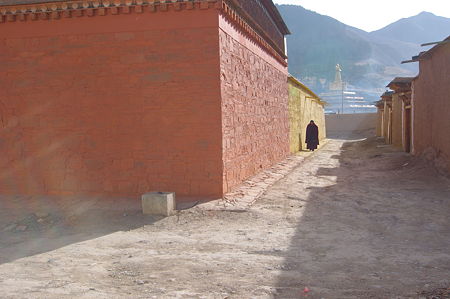 IMGP8971