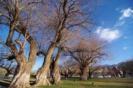 IMGP0197