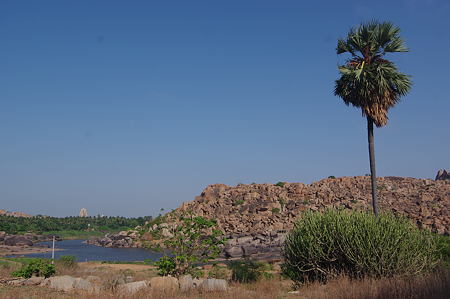 IMGP3481