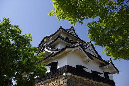 彦根城天守 (18)