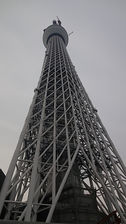 東京スカイツリー 真下に来ると上は見えない。