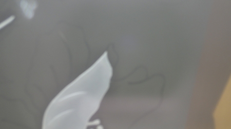 花びらの先っぽはあとで。