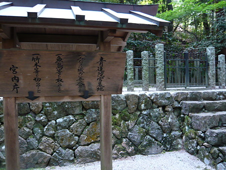 2011.5.8 109