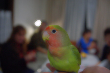 IMGP6569