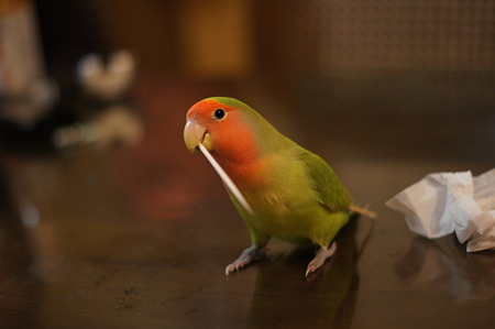 DSC00292