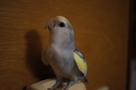 DSC00200