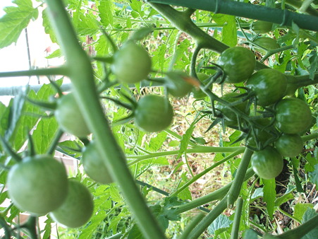DSCF3488