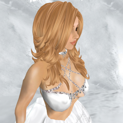 Snapshot_173