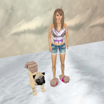 Snapshot_219