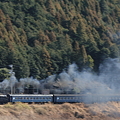 20110129 大井川鉄道SL